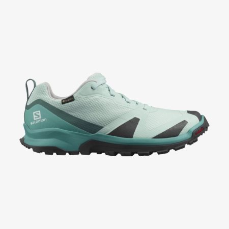 Scarpe Trail Running Salomon XA COLLIDER GTX W Donna Verde Acqua IT 3-T24